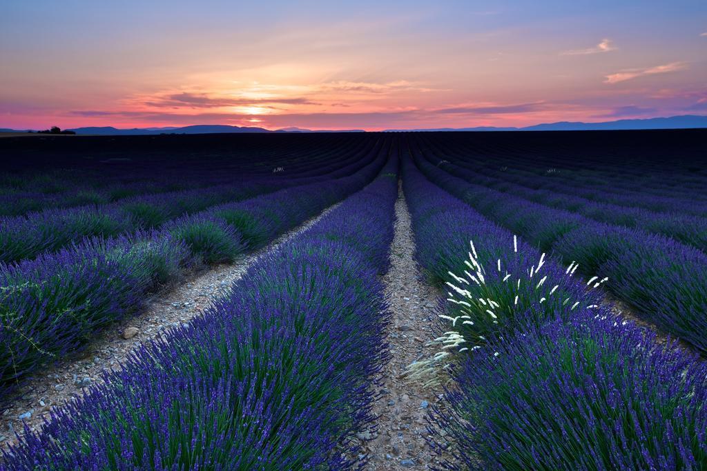 La Maison Des Collines Allemagne en Provence Bagian luar foto